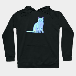 Light Blue Cat Hoodie